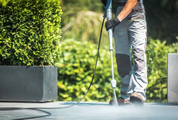 Best Roof Washing  in Roan Mountain, TN