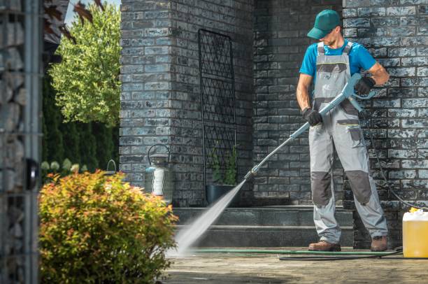 Best Sidewalk and Walkway Cleaning  in Roan Mountain, TN